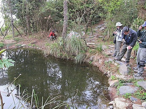 100-0409   觀霧山椒魚進階訓練 10(5).jpg