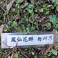 101-0130  觀霧原生植物繁殖培育 ((1).jpg