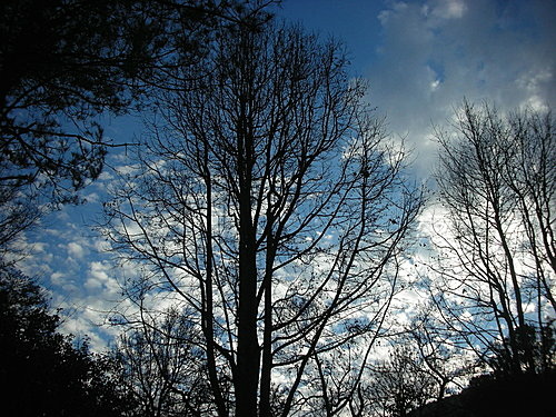 9802-092 武陵的雲.jpg