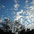 9802-110 武陵的雲.jpg