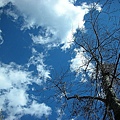 9802-118 武陵的雲.jpg