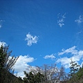 9802-132 武陵的雲.jpg