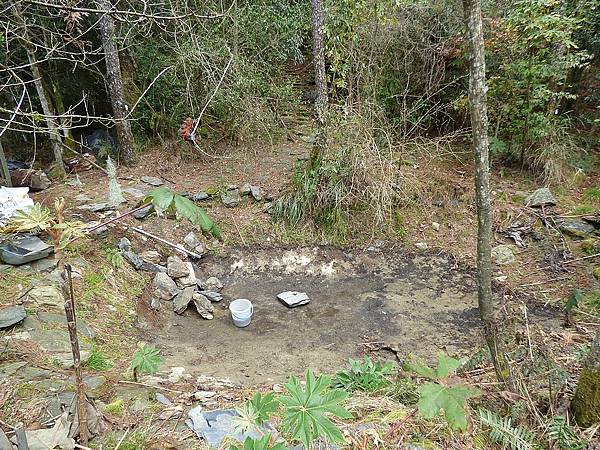 106-0408-1 生態池-觀霧山椒魚棲地復育營造工作假期 (16).jpg