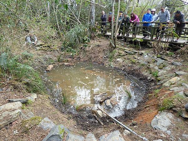 106-0409-1 生態池-觀霧山椒魚棲地復育營造工作假期 (4).jpg