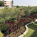 106-1205-2 台南市東區清潔隊綠屋頂(台南市綠屋頂節能降溫推動計畫) (10).jpg