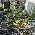 106-1205-2 台南市東區清潔隊綠屋頂(台南市綠屋頂節能降溫推動計畫) (11).jpg