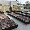 106-1205-3 崇學國小綠屋頂(台南市綠屋頂節能降溫推動計畫) (4).jpg