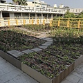 106-1205-3 崇學國小綠屋頂(台南市綠屋頂節能降溫推動計畫) (11).jpg