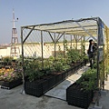 106-1205-4 華爾街資訊大樓綠屋頂(台南市綠屋頂節能降溫推動計畫) (3).jpg