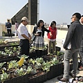 106-1205-4 華爾街資訊大樓綠屋頂(台南市綠屋頂節能降溫推動計畫) (17).jpg