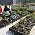 106-1205-4 華爾街資訊大樓綠屋頂(台南市綠屋頂節能降溫推動計畫) (19).jpg