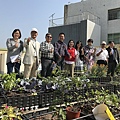 106-1205-4 華爾街資訊大樓綠屋頂(台南市綠屋頂節能降溫推動計畫) (21).jpg