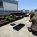 105-0704  元培屋頂菜園 (13).jpg