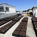 105-0704  元培屋頂菜園 (8).jpg