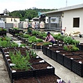 105-0710  元培屋頂菜園 (5).jpg