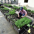 105-0710  元培屋頂菜園 (11).jpg