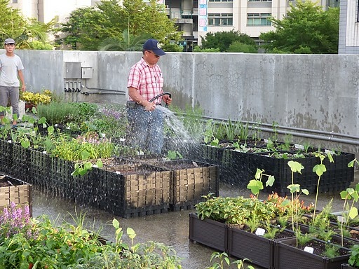 105-0710  元培屋頂菜園 (34).jpg