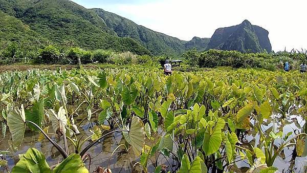 82503329_2769939793071256_5076250627718250496_o.jpg 82503329_2769939793071256_5076250627718250496_o.jpg