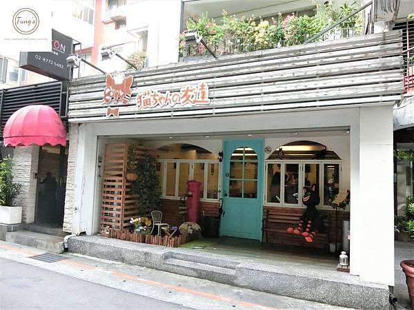 【台北東區】台北大安區超療愈貓咪餐廳<貓咪先生的朋友>二訪|9月即將歇業