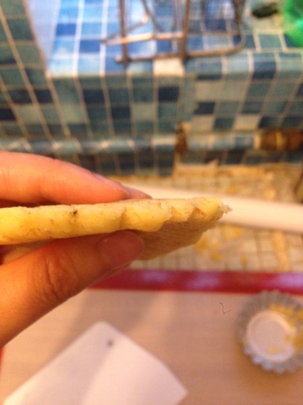 IMG_4071.JPG IMG_4071.JPG