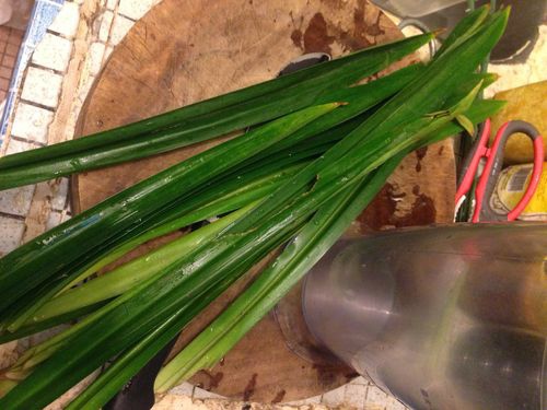 IMG_4418.JPG IMG_4418.JPG