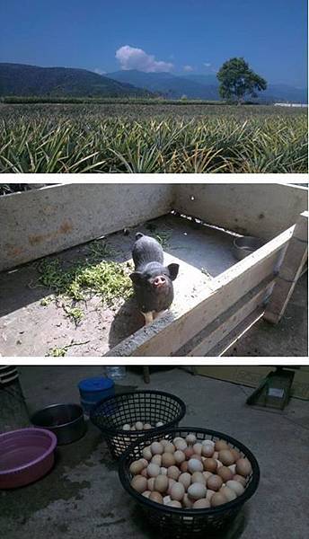 10012640_1419975614927152_572310707_o