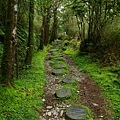 山毛櫸步道