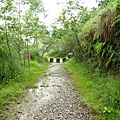 山毛櫸步道