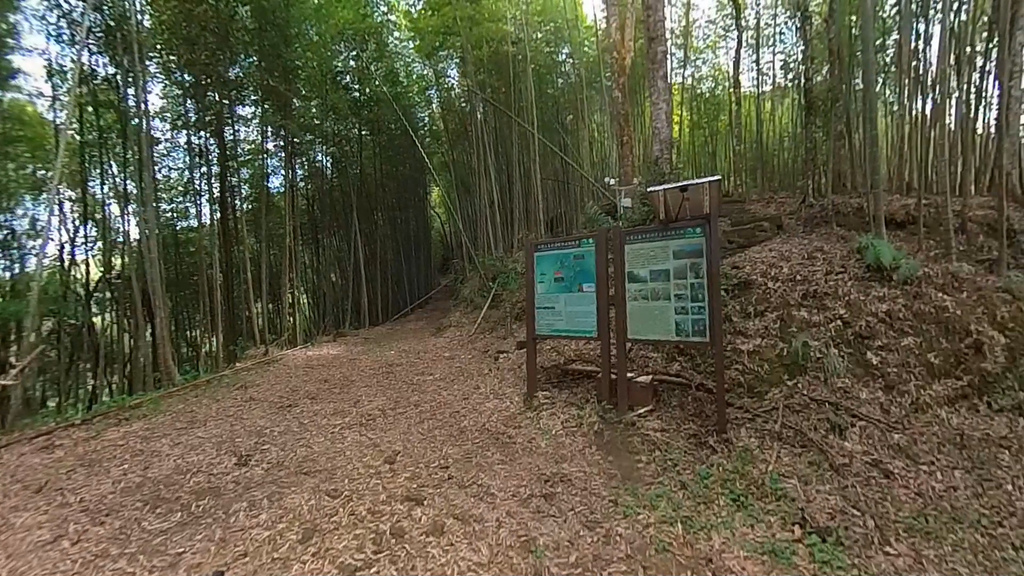 20241120~石壁山、嘉南雲峰登山步道｜南側登山口起登→