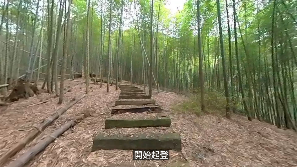 20241120~石壁山、嘉南雲峰登山步道｜南側登山口起登→