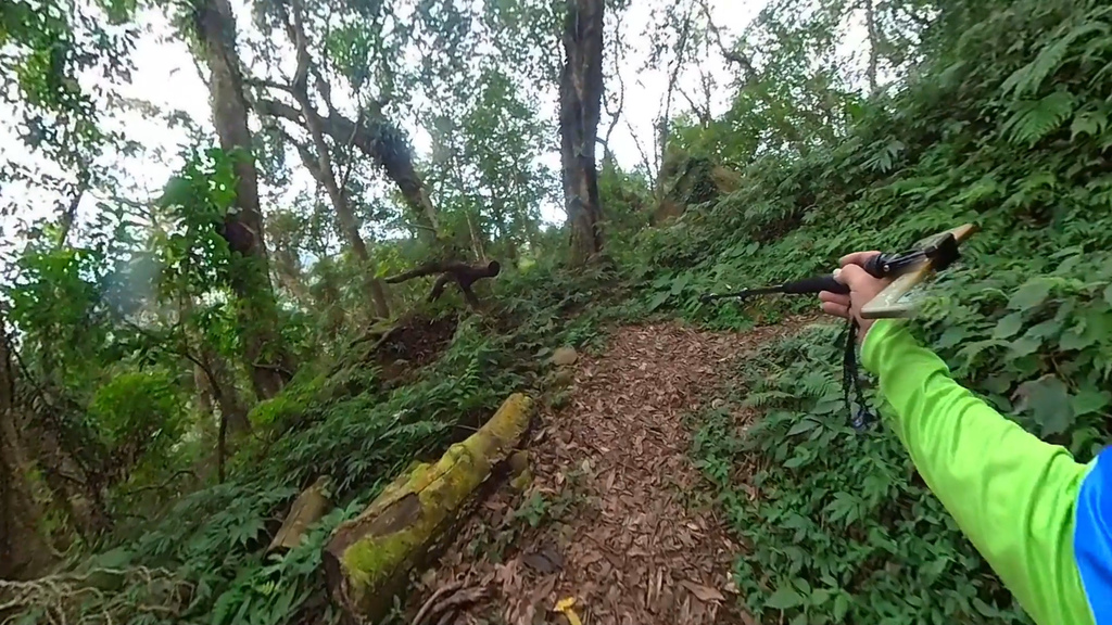 20241120~石壁山、嘉南雲峰登山步道｜南側登山口起登→
