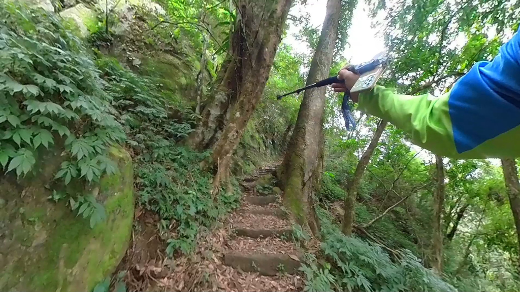 20241120~石壁山、嘉南雲峰登山步道｜南側登山口起登→