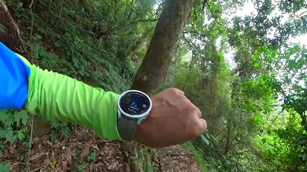 20241120~石壁山、嘉南雲峰登山步道｜南側登山口起登→