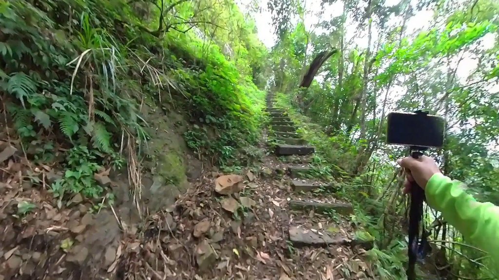 20241120~石壁山、嘉南雲峰登山步道｜南側登山口起登→