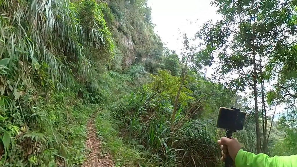 20241120~石壁山、嘉南雲峰登山步道｜南側登山口起登→