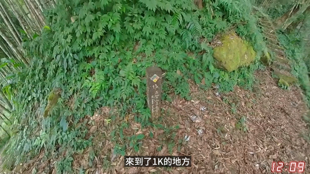 20241120~石壁山、嘉南雲峰登山步道｜南側登山口起登→