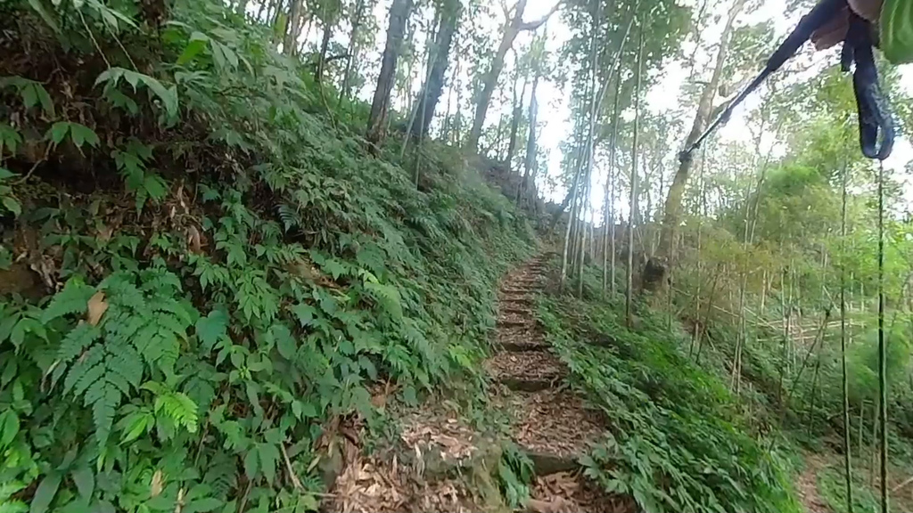 20241120~石壁山、嘉南雲峰登山步道｜南側登山口起登→