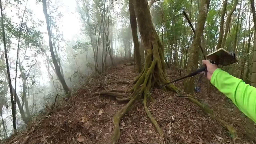20241120~石壁山、嘉南雲峰登山步道｜南側登山口起登→