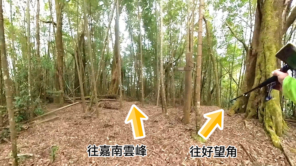 20241120~石壁山、嘉南雲峰登山步道｜南側登山口起登→