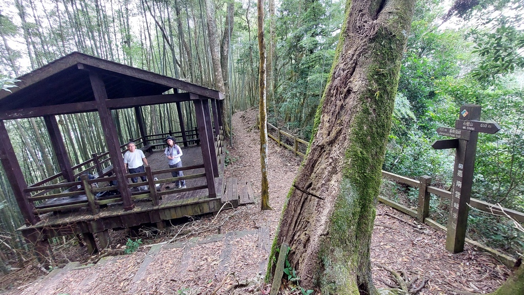 20241120~石壁山、嘉南雲峰登山步道｜南側登山口起登→