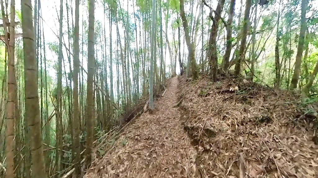 20241120~石壁山、嘉南雲峰登山步道｜南側登山口起登→