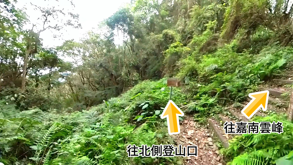 20241120~石壁山、嘉南雲峰登山步道｜南側登山口起登→