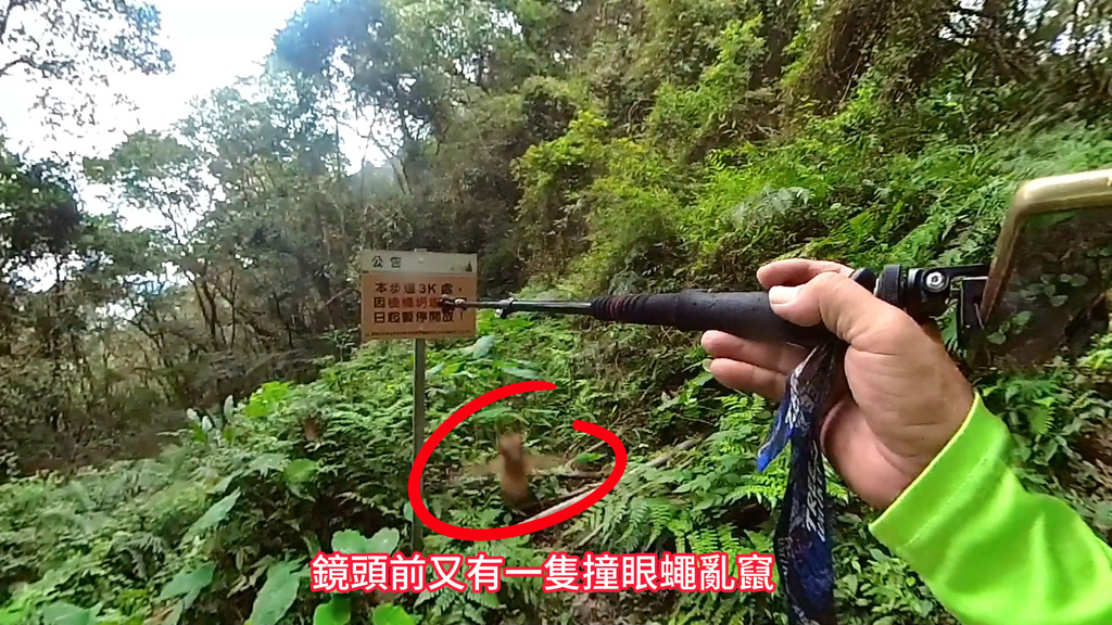 20241120~石壁山、嘉南雲峰登山步道｜南側登山口起登→