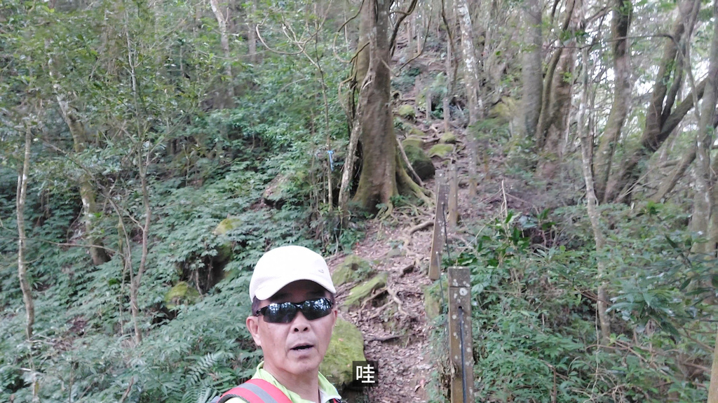 20241120~石壁山、嘉南雲峰登山步道｜南側登山口起登→