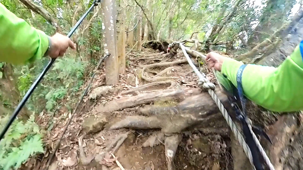 20241120~石壁山、嘉南雲峰登山步道｜南側登山口起登→