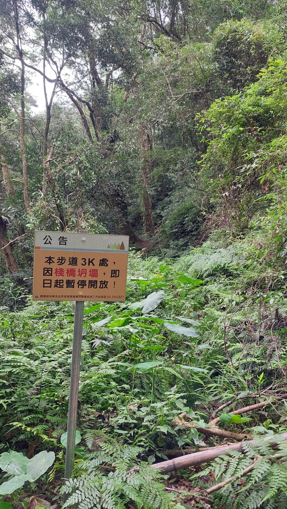 20241120~石壁山、嘉南雲峰登山步道|南側登山口起登→ 20241120~石壁山、嘉南雲峰登山步道|南側登山口起登→