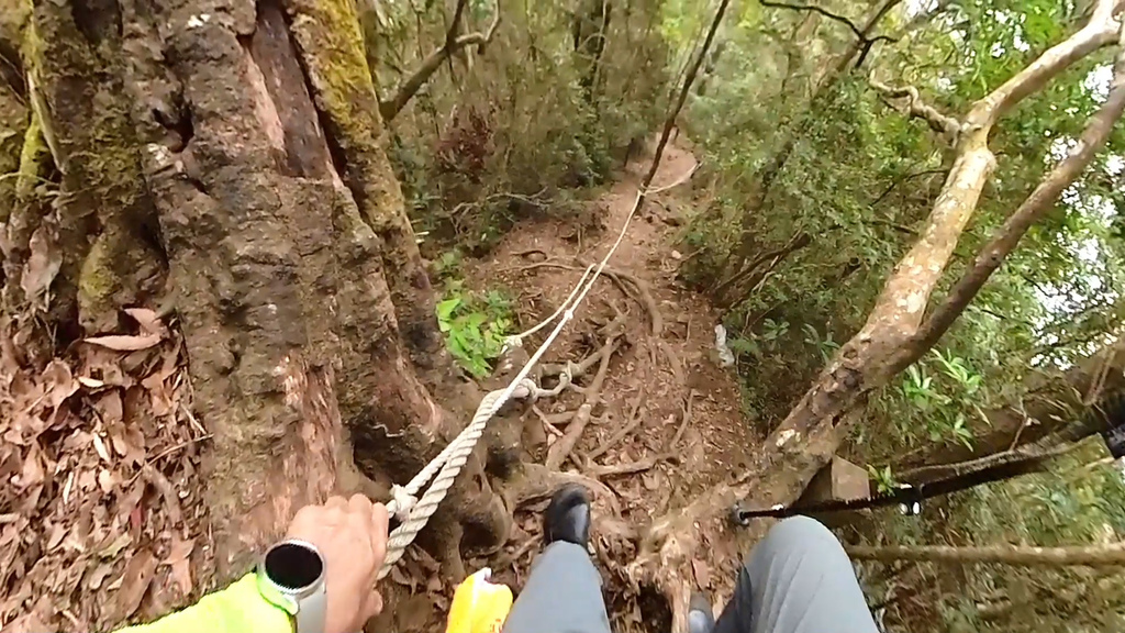 20241120~石壁山、嘉南雲峰登山步道｜南側登山口起登→