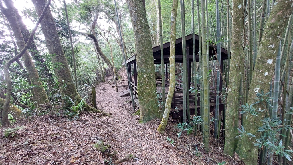 20241120~石壁山、嘉南雲峰登山步道｜南側登山口起登→