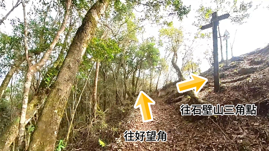 20241120~石壁山、嘉南雲峰登山步道｜南側登山口起登→