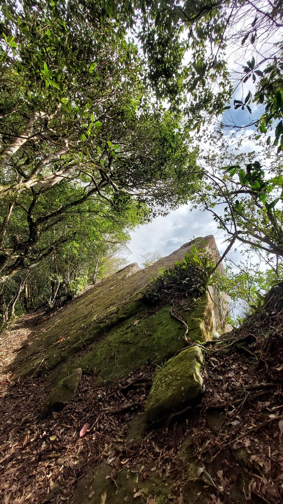 20241120~石壁山、嘉南雲峰登山步道｜南側登山口起登→